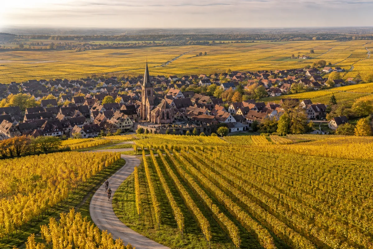 Vue plongeante sur des rangs de vignes en pente et une route étroite qui serpente vers un clocher