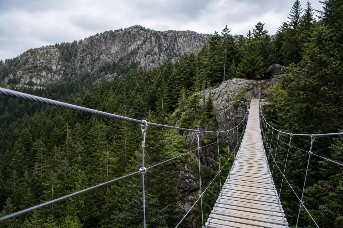 Pont de singe suspendu vide au-dessus d&rsquo;une vallée boisée
